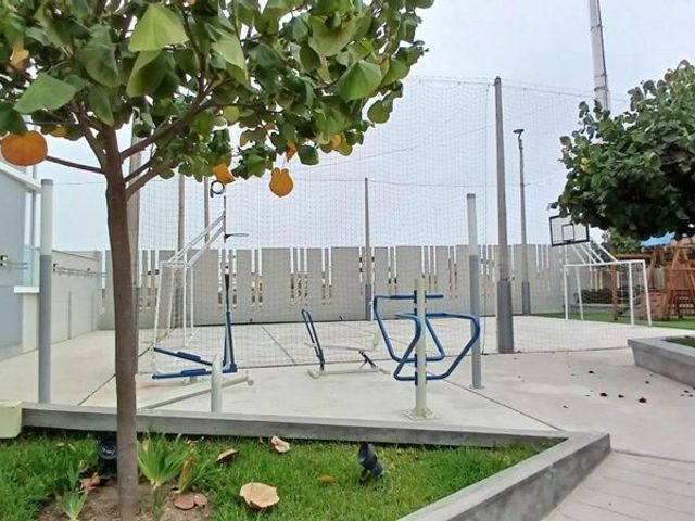 place photo 26