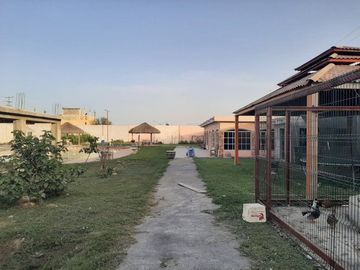 place photo 33