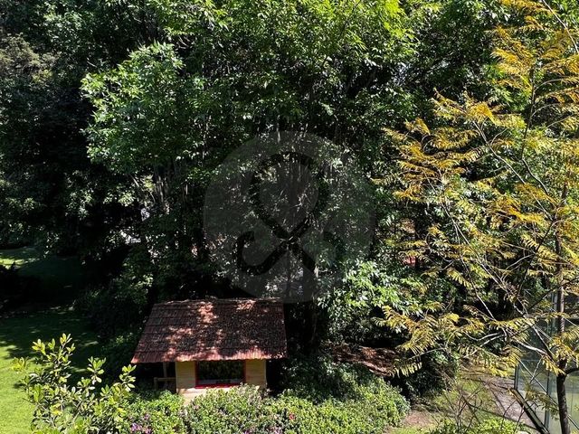 place photo 49