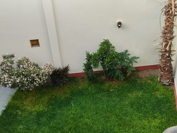place photo 24
