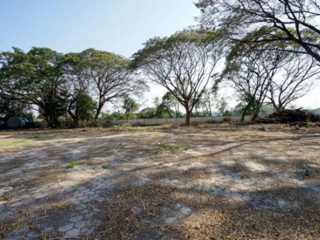 place photo 14