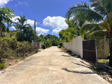 place photo 17