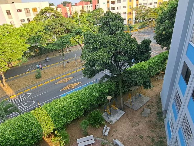 place photo 19