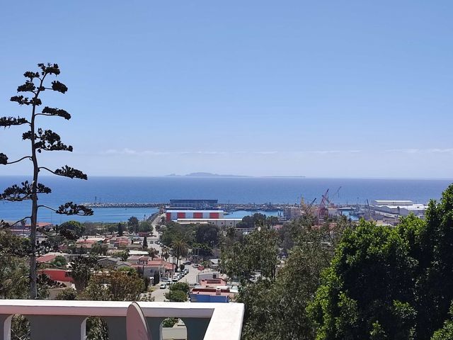 place photo 37