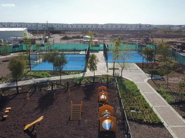 place photo 17