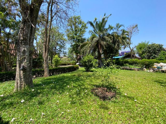 place photo 46