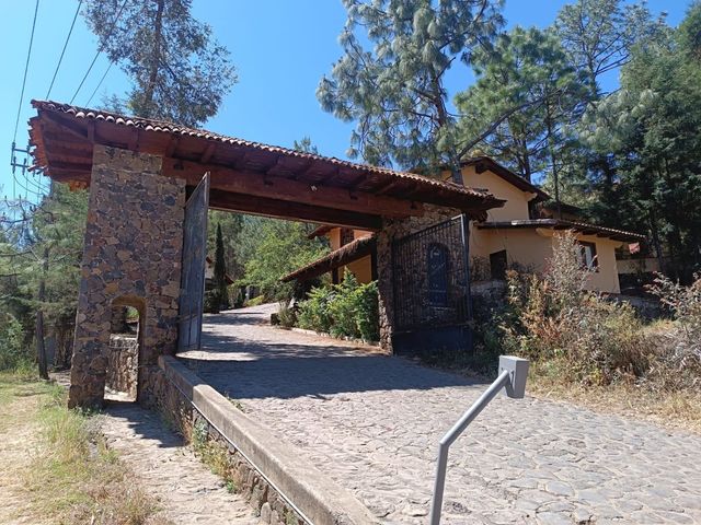 place photo 54