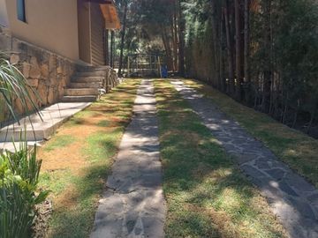 place photo 49