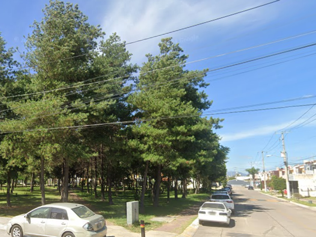 place photo 7