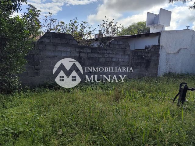 place photo 23