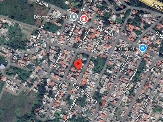 place photo 5