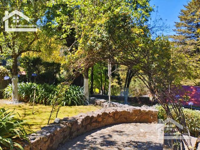 place photo 61