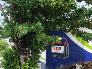 place photo 7