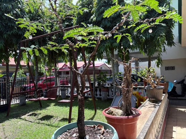 place photo 16
