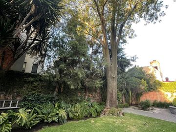 place photo 32