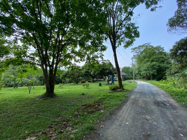 place photo 53