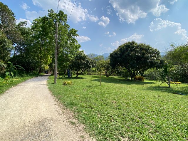 place photo 55