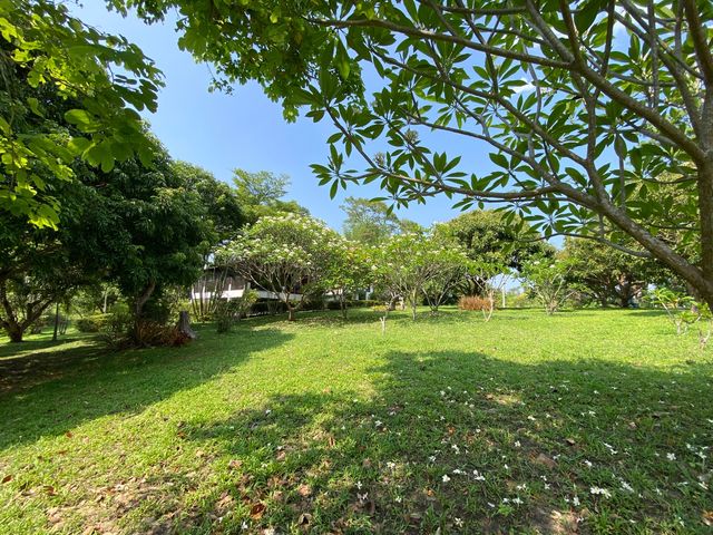 place photo 40