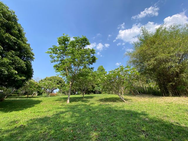 place photo 34