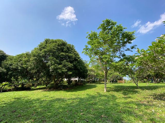 place photo 48