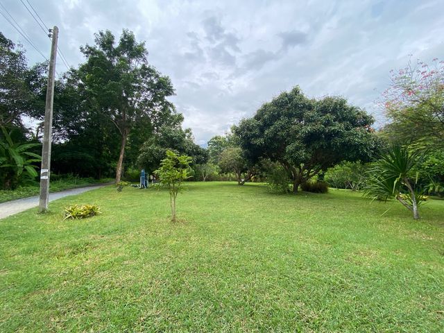 place photo 36