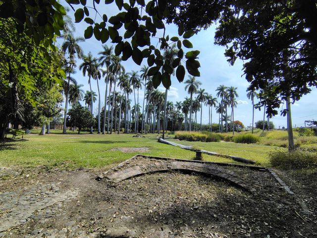 place photo 18