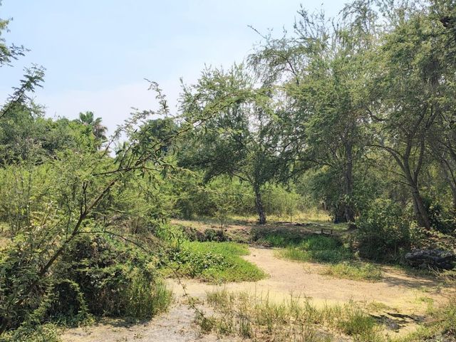 place photo 21