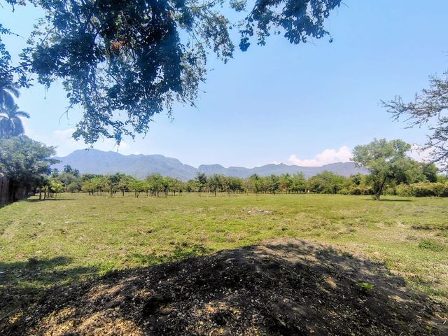 place photo 35
