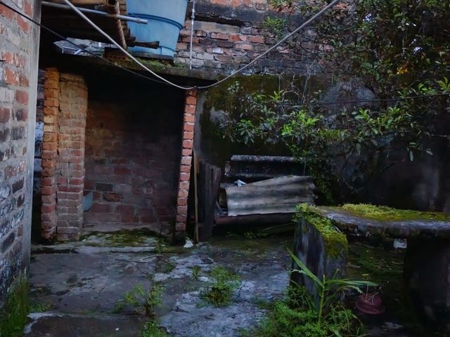 place photo 24