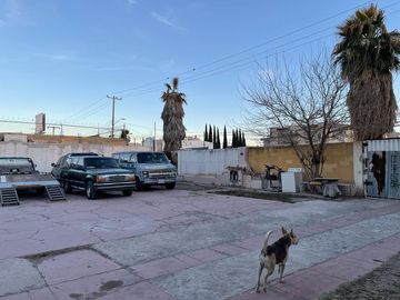 place photo 3