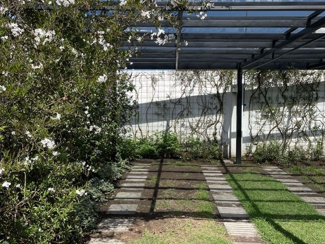 place photo 40