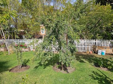 place photo 29