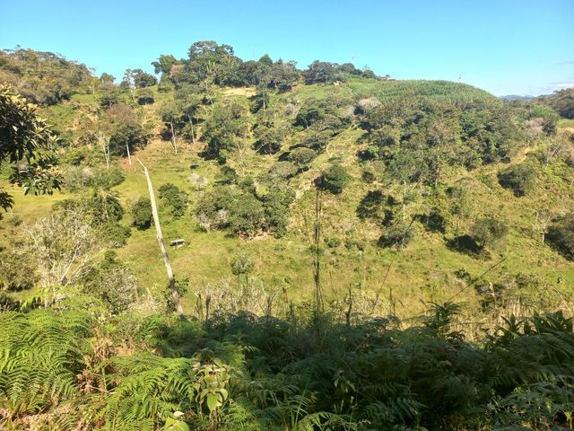 place photo 25