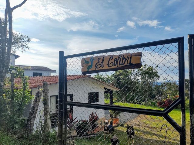 place photo 28