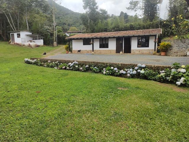 place photo 52