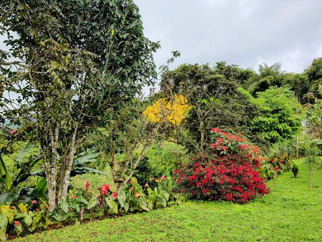 place photo 57