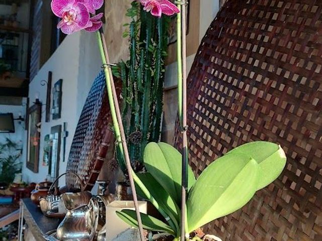 place photo 59