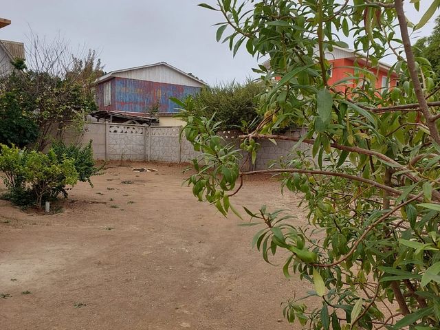 place photo 22