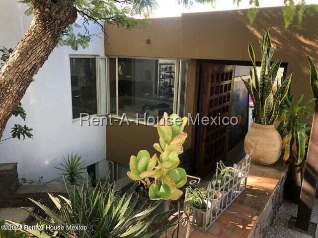 place photo 31