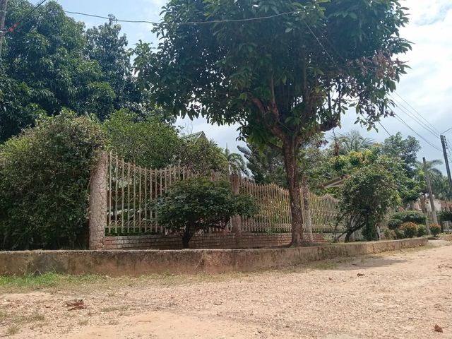 place photo 19