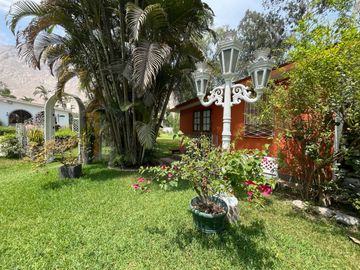 place photo 39