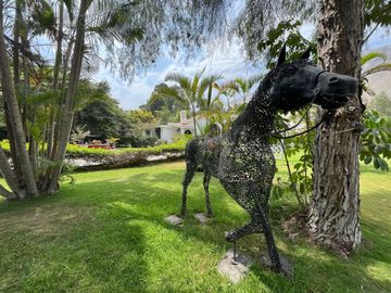 place photo 41