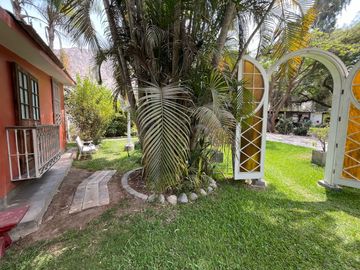 place photo 44