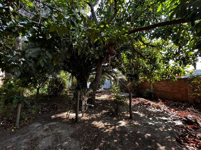 place photo 28