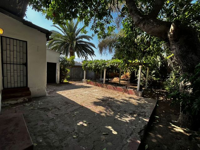 place photo 30