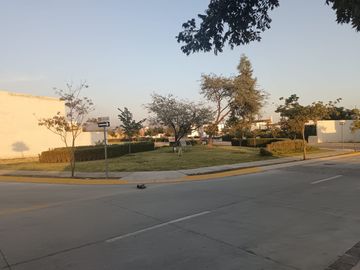 place photo 41