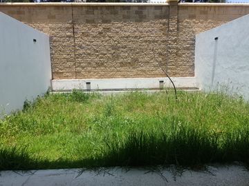 place photo 38