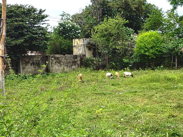 place photo 35