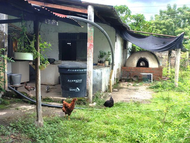 place photo 36