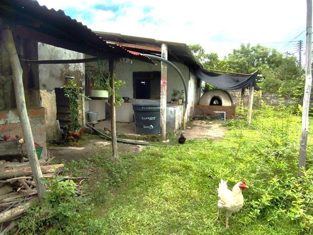 place photo 34